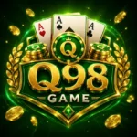 Q98 Game