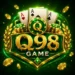 Q98 Game